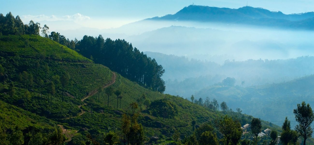 sri lanka tour package