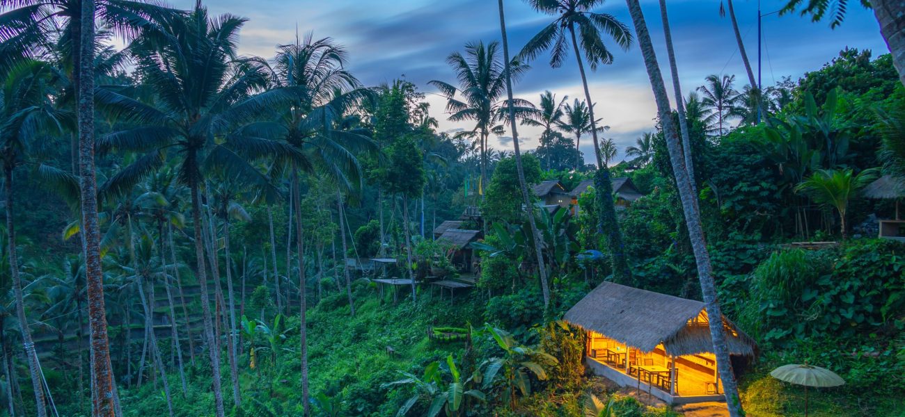 bali vacation packages